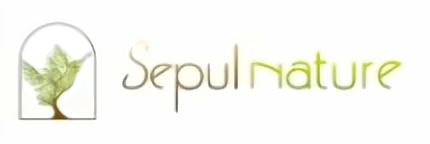 Référence
